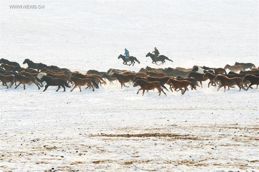 CHINA-INNER MONGOLIA-FOLK CUSTOM-NADAM (CN) 