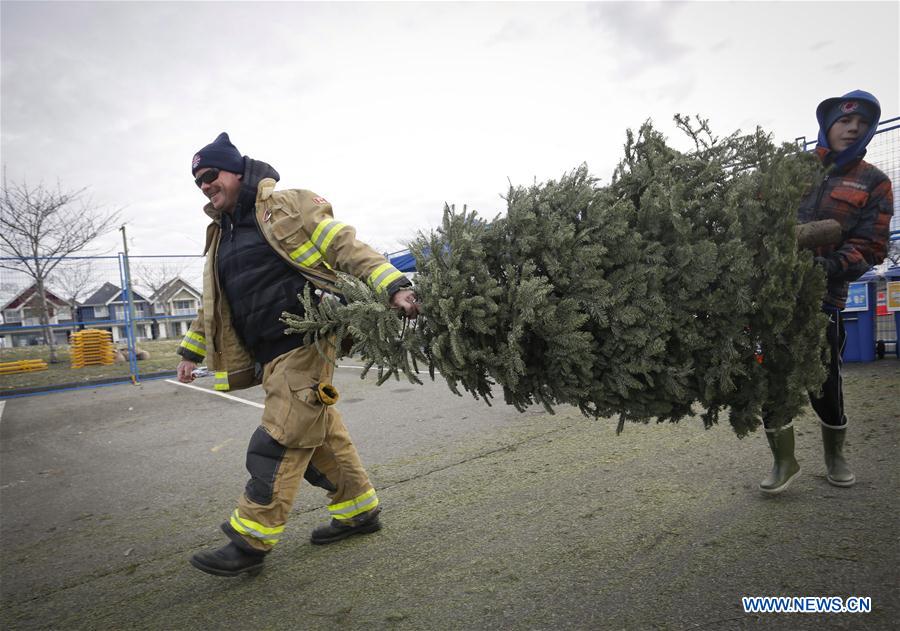 CANADA-RICHMOND-CHRISTMAS TREES-RECYCLING