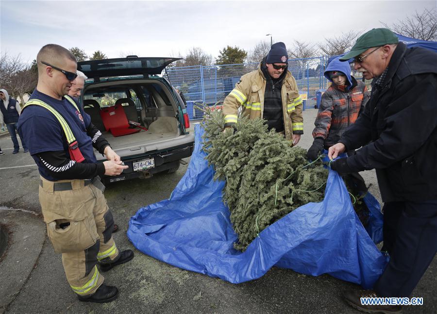 CANADA-RICHMOND-CHRISTMAS TREES-RECYCLING