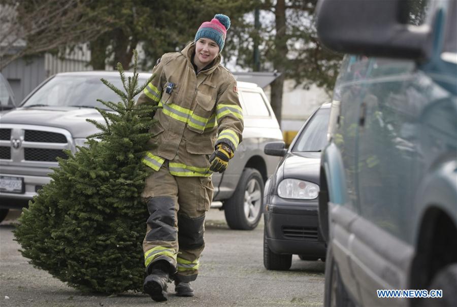CANADA-RICHMOND-CHRISTMAS TREES-RECYCLING