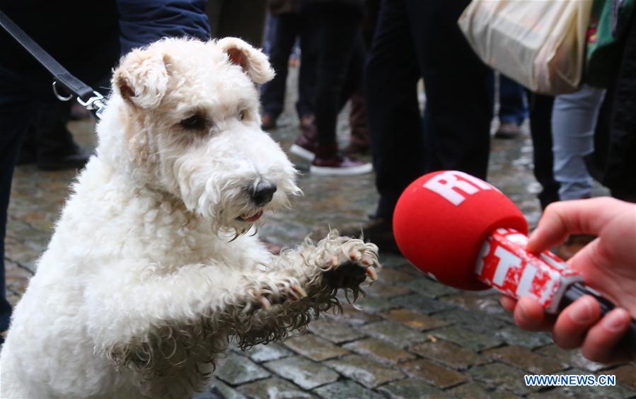 BELGIUM-BRUSSELS-"THE ADVENTURES OF TINTIN"-SHOW