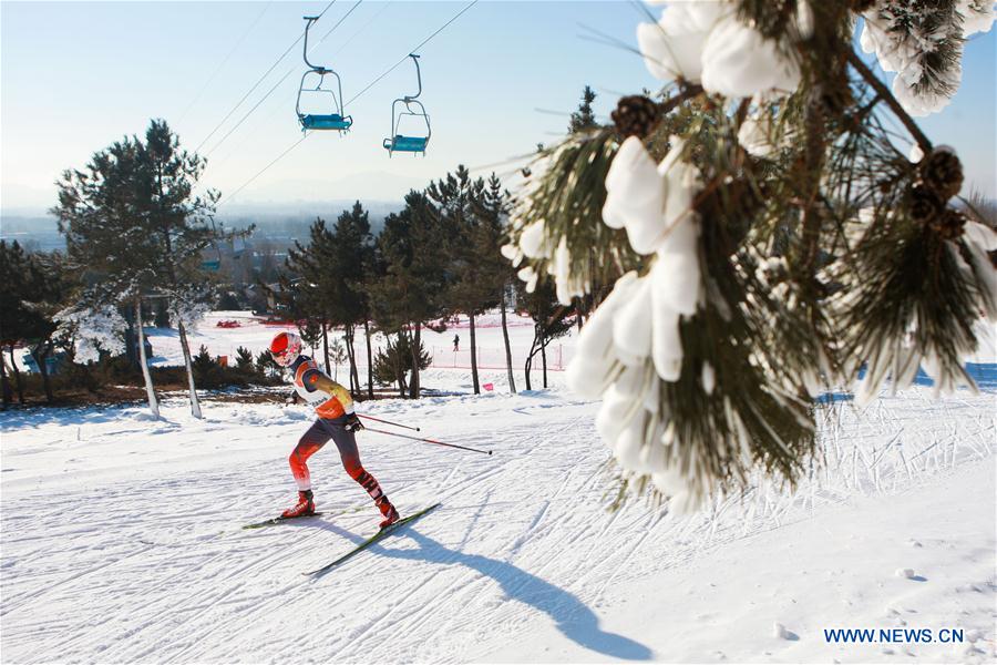 (SP)CHINA-BEIJING-SKI-FIS-CROSS COUNTRY(CN)