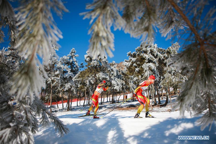 (SP)CHINA-BEIJING-SKI-FIS-CROSS COUNTRY(CN)