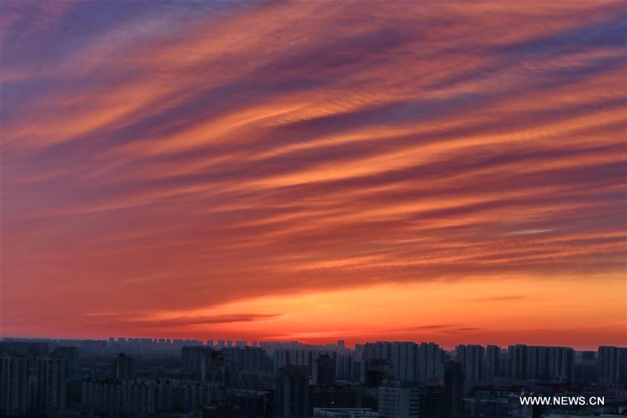 #CHINA-BEIJING-MORNING GLOW(CN)