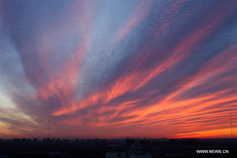 #CHINA-BEIJING-MORNING GLOW(CN)