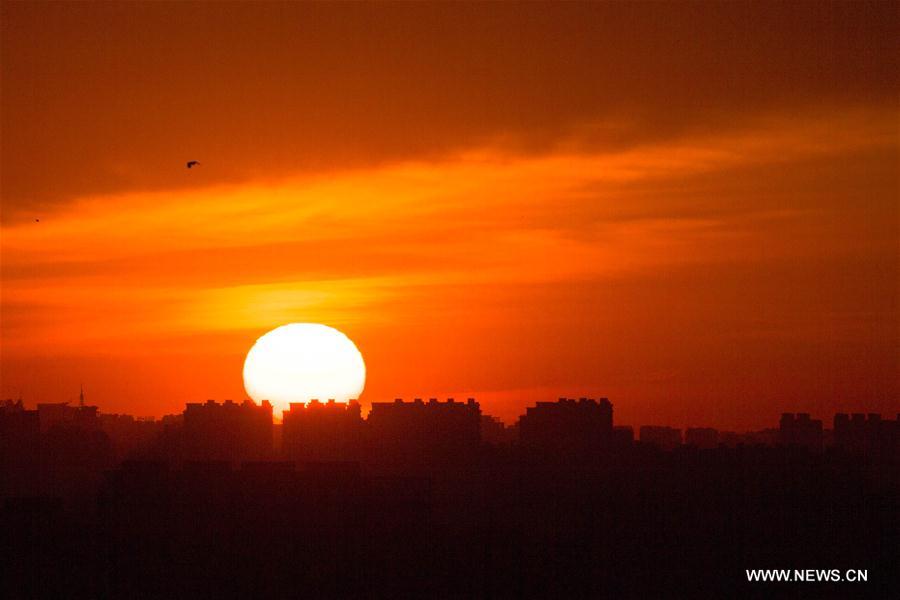 #CHINA-BEIJING-MORNING GLOW(CN)