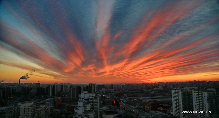 #CHINA-BEIJING-MORNING GLOW(CN)