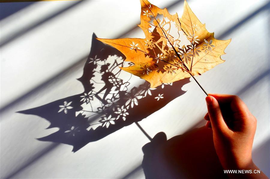 #CHINA-SHANDONG-QINGDAO-LEAF CARVING (CN)