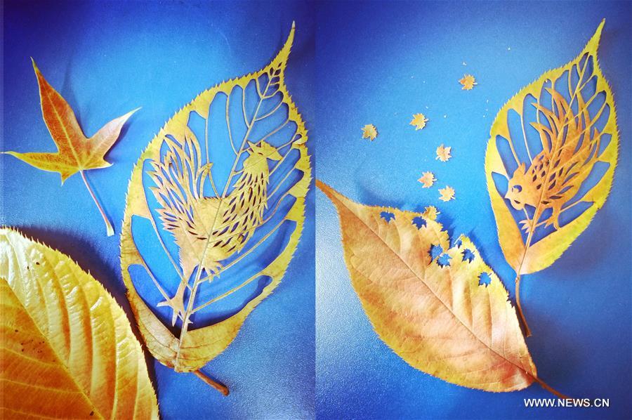 #CHINA-SHANDONG-QINGDAO-LEAF CARVING (CN)