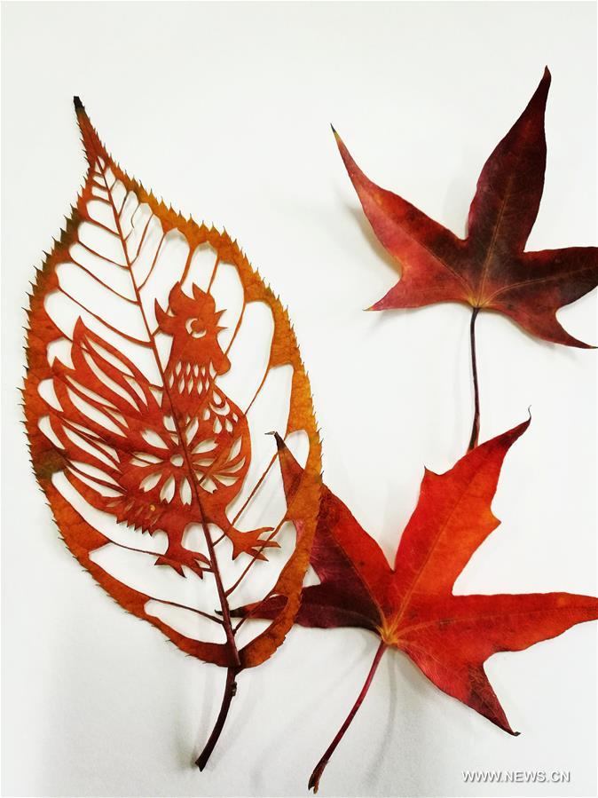 #CHINA-SHANDONG-QINGDAO-LEAF CARVING (CN)