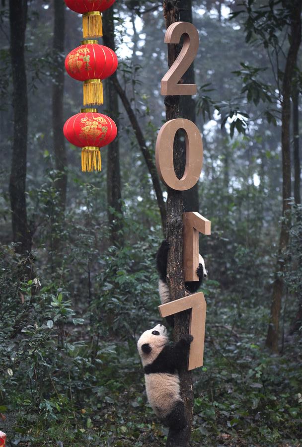 XINHUA PHOTO WEEKLY CHOICES