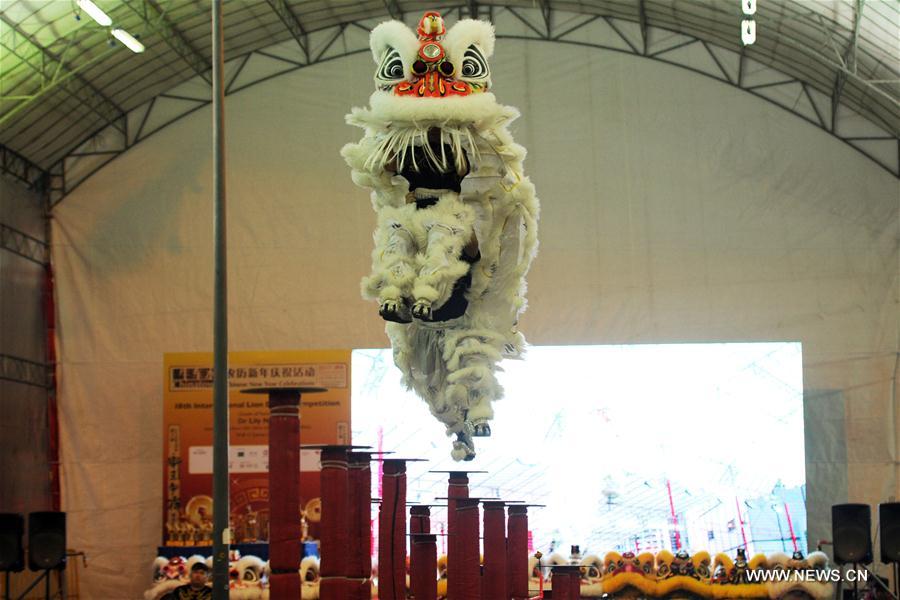 A total of 14 lion dance troupes participated in the competition.
