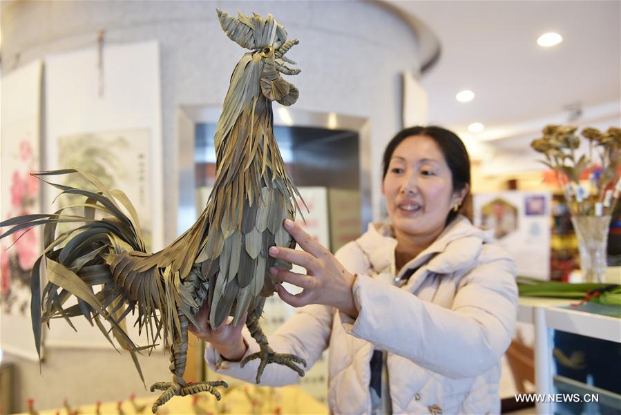Jia Shujuan made nearly 100 palm-plaited roosters in a month for the upcoming Chinese traditional lunar New Year of Rooster, which starts from Jan. 28 this year. Jia Shujuan made nearly 100 palm-plaited roosters in a month for the upcoming Chinese traditional lunar New Year of Rooster, which starts from Jan. 28 this year.
