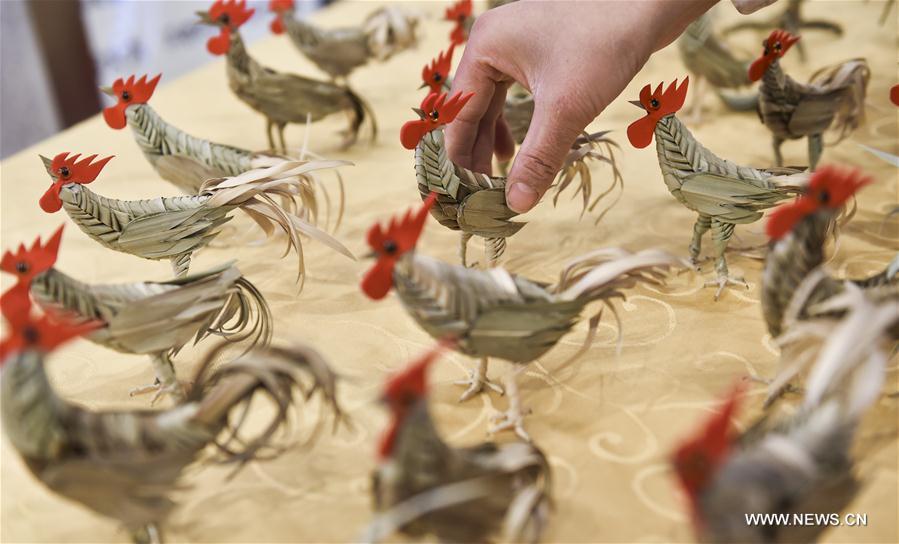 Jia Shujuan made nearly 100 palm-plaited roosters in a month for the upcoming Chinese traditional lunar New Year of Rooster, which starts from Jan. 28 this year. Jia Shujuan made nearly 100 palm-plaited roosters in a month for the upcoming Chinese traditional lunar New Year of Rooster, which starts from Jan. 28 this year.