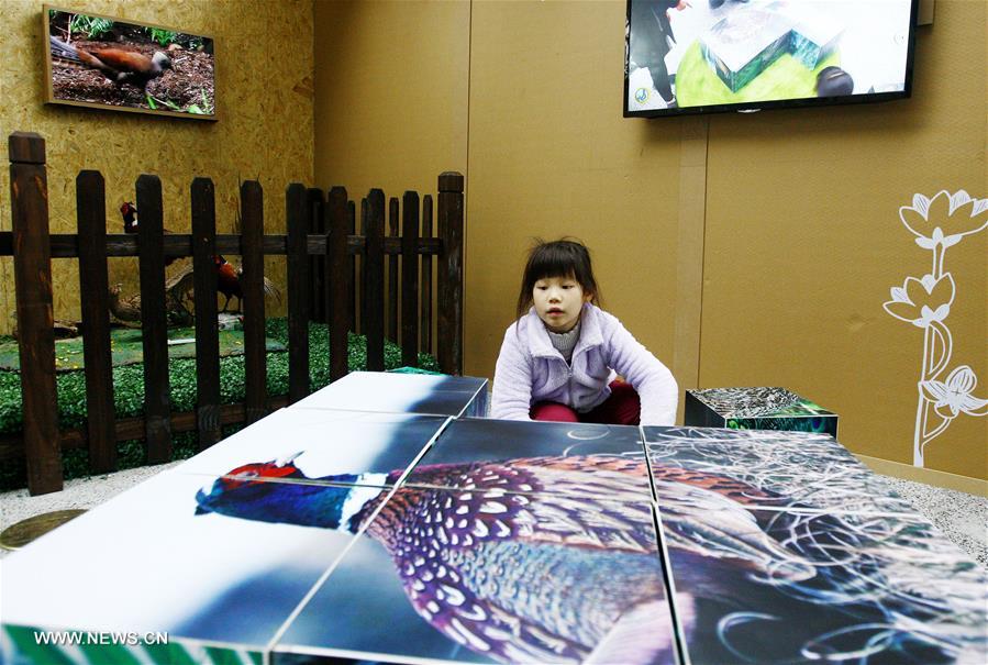 CHINA-SHANGHAI-GALLIFORMES EXHIBITION (CN)