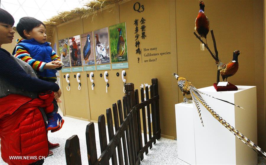 CHINA-SHANGHAI-GALLIFORMES EXHIBITION (CN)