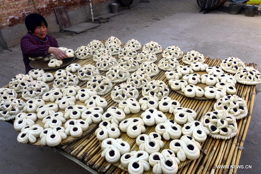 #CHINA-SHANDONG-JUJUBE CAKES (CN)