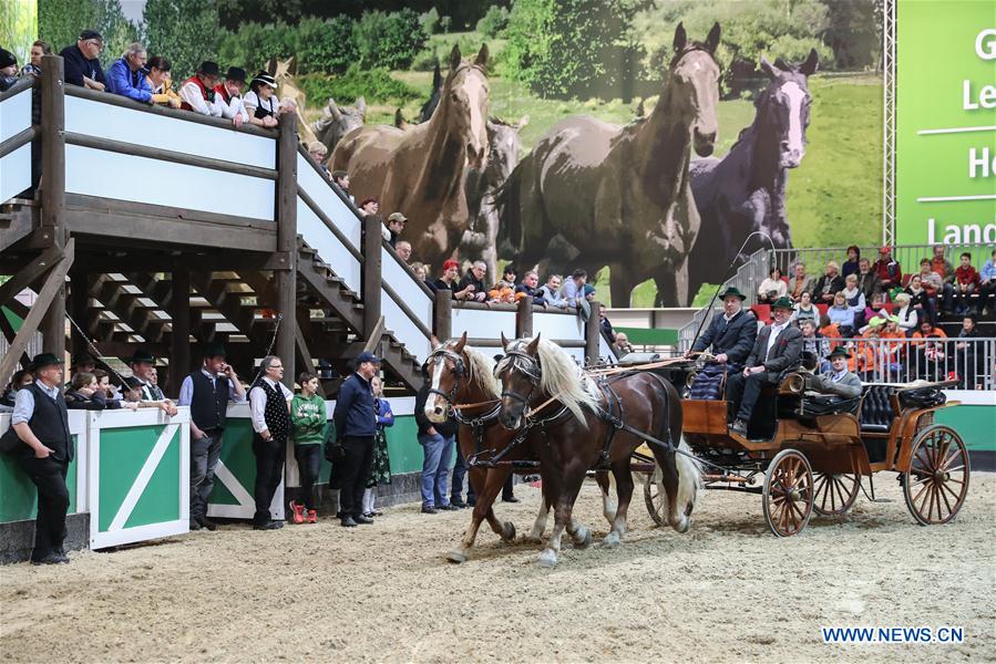 GERMANY-INTERNATIONAL GREEN WEEK BERLIN 2017-OPENING