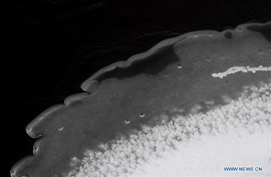 CHINA-HEILONGJIANG-KURBIN RIVER-WINTER SCENERY (CN)