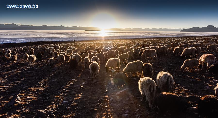 CHINA-TIBET-PLATEAU LAKE-SCENERY (CN)