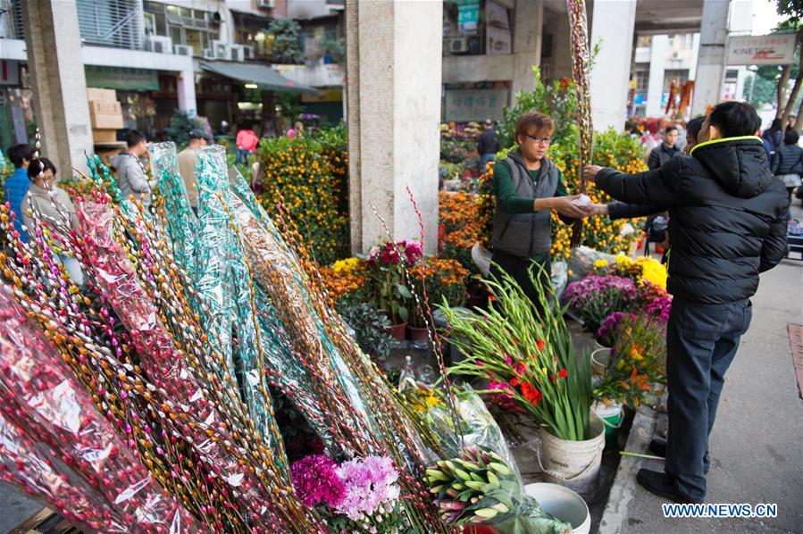 CHINA-SPRING FESTIVAL-APPROACH (CN)