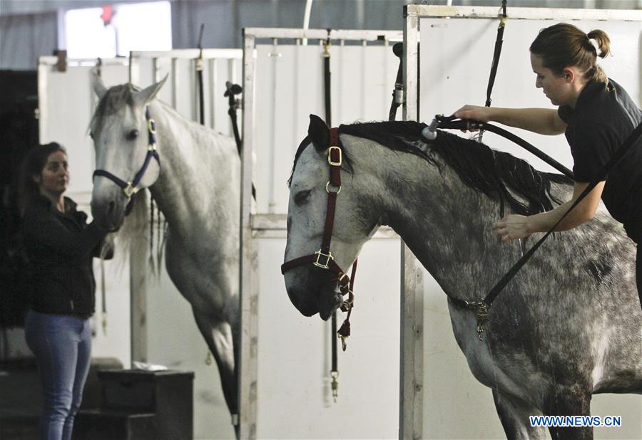 CANADA-VANCOUVER-CAVALIA-ODYSSEO