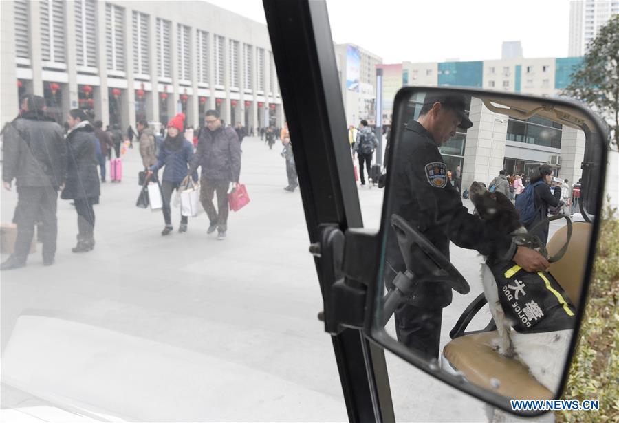 Trainer Yang Naiwen and police dog Tiehu take a rest at the square of Hefei Railway Station in Hefei, capital of east China's Anhui Province, Jan. 24, 2017. Many police dogs are on duty during China's Spring Festival travel rush between Jan. 13 and Feb. 21. This is the 7th time for Tiehu, an 8-year-old sniffer dog, to serve the travel rush around the Spring Festival, which falls on Jan. 28 this year. (Xinhua/Guo Chen) Trainer Yang Naiwen and police dog Tiehu take a rest at the square of Hefei Railway Station in Hefei, capital of east China's Anhui Province, Jan. 24, 2017. Many police dogs are on duty during China's Spring Festival travel rush between Jan. 13 and Feb. 21. This is the 7th time for Tiehu, an 8-year-old sniffer dog, to serve the travel rush around the Spring Festival, which falls on Jan. 28 this year. (Xinhua/Guo Chen)