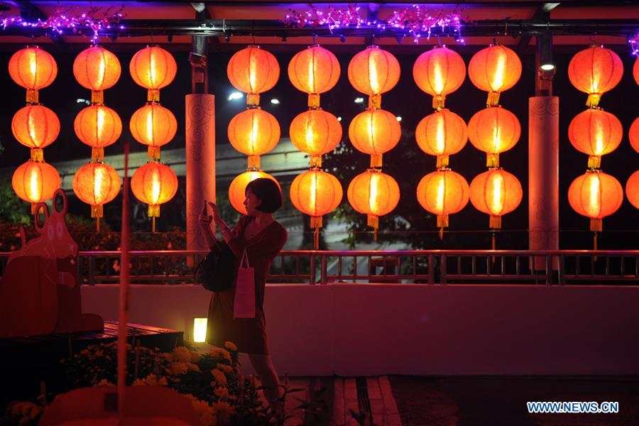 SINGAPORE-CHINESE LUNAR NEW YEAR-LIGHT INSTALLATIONS