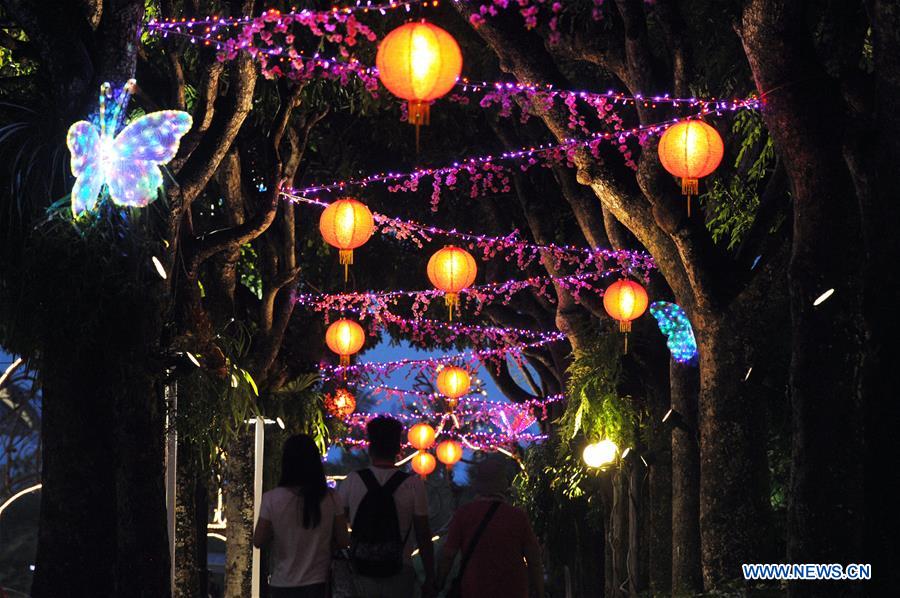 SINGAPORE-CHINESE LUNAR NEW YEAR-LIGHT INSTALLATIONS