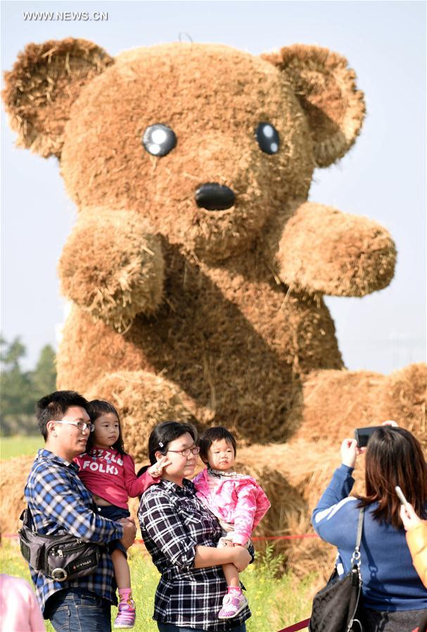 #CHINA-CHIAYI-STRAW STATUE (CN)