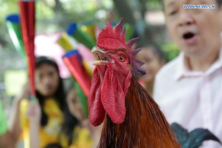 PHILIPPINES-MALABON CITY-CHINESE NEW YEAR-ROOSTER-EXHIBITION