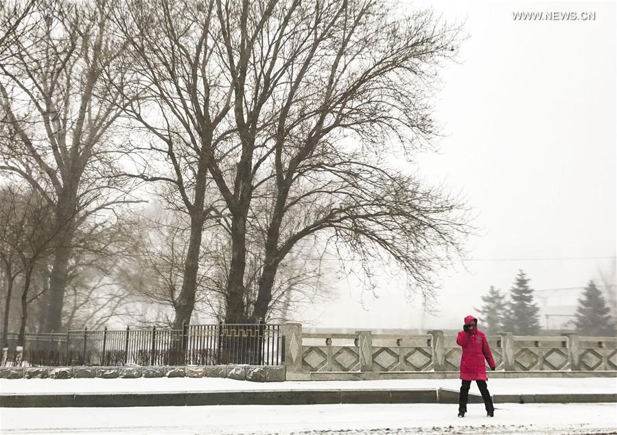 CHINA-NORTH-SNOWFALL (CN)