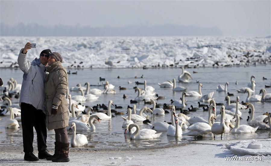 SERBIA-BELGRADE-WEATHER-DANUBE-ICE
