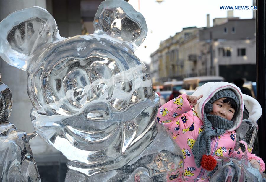 CHINA-HARBIN-ICY WORLD-AMUSEMENT (CN)
