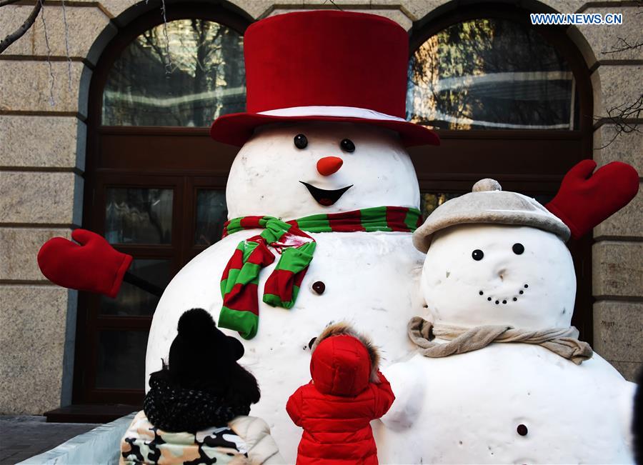 CHINA-HARBIN-ICY WORLD-AMUSEMENT (CN)