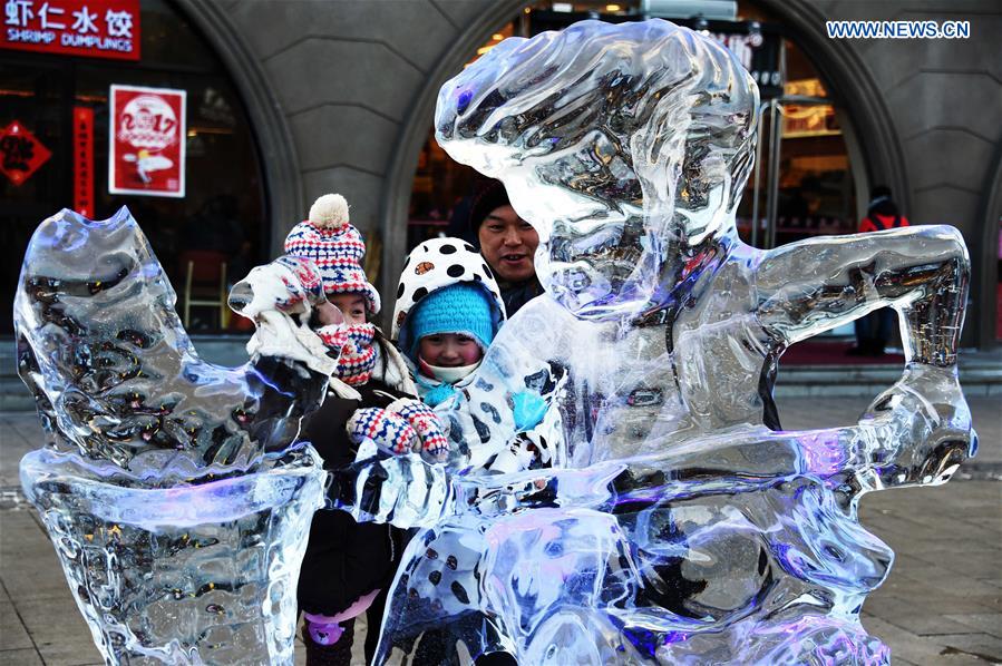 CHINA-HARBIN-ICY WORLD-AMUSEMENT (CN)