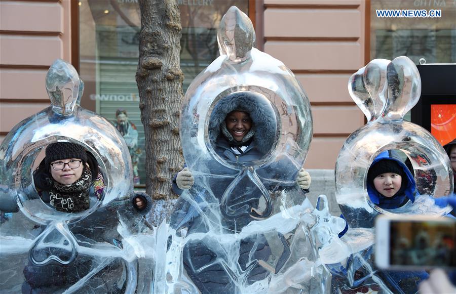 CHINA-HARBIN-ICY WORLD-AMUSEMENT (CN)