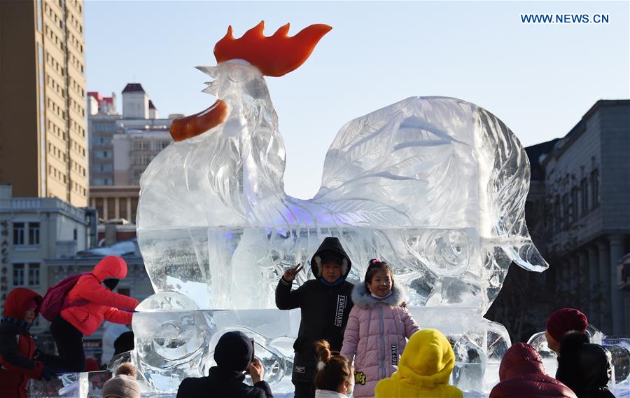 CHINA-HARBIN-ICY WORLD-AMUSEMENT (CN)