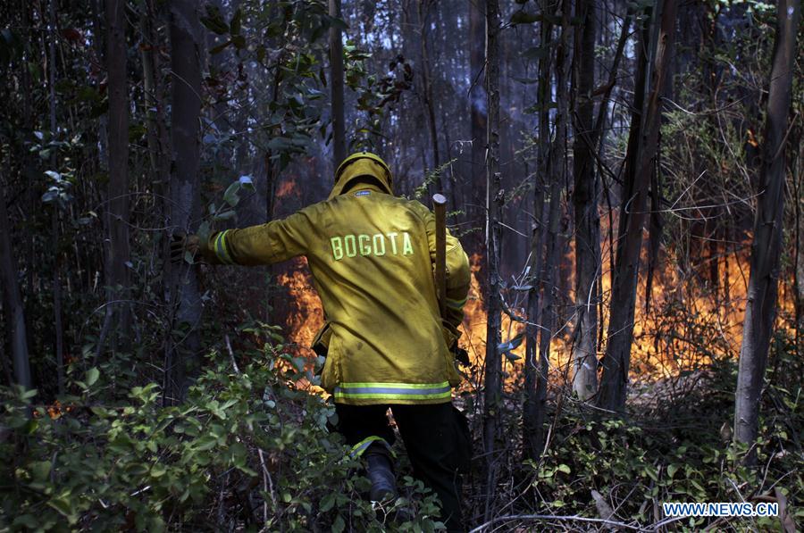 CHILE-FLORIDA-COLOMBIA-ENVIRONMENT-FIRE