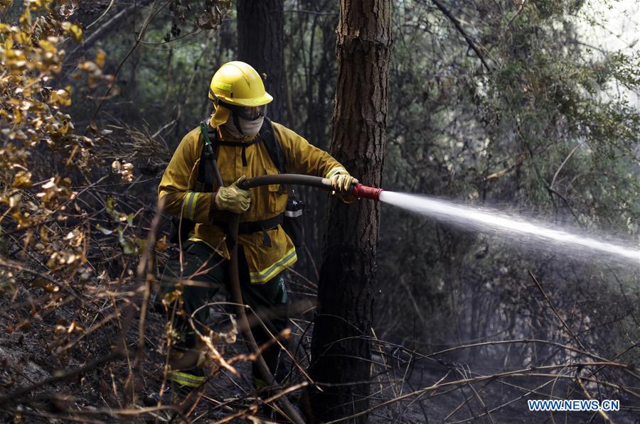 CHILE-FLORIDA-COLOMBIA-ENVIRONMENT-FIRE