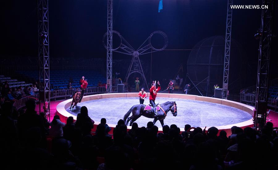 CHINA-CHONGQING-FESTIVE LANTERN FAIR(CN)