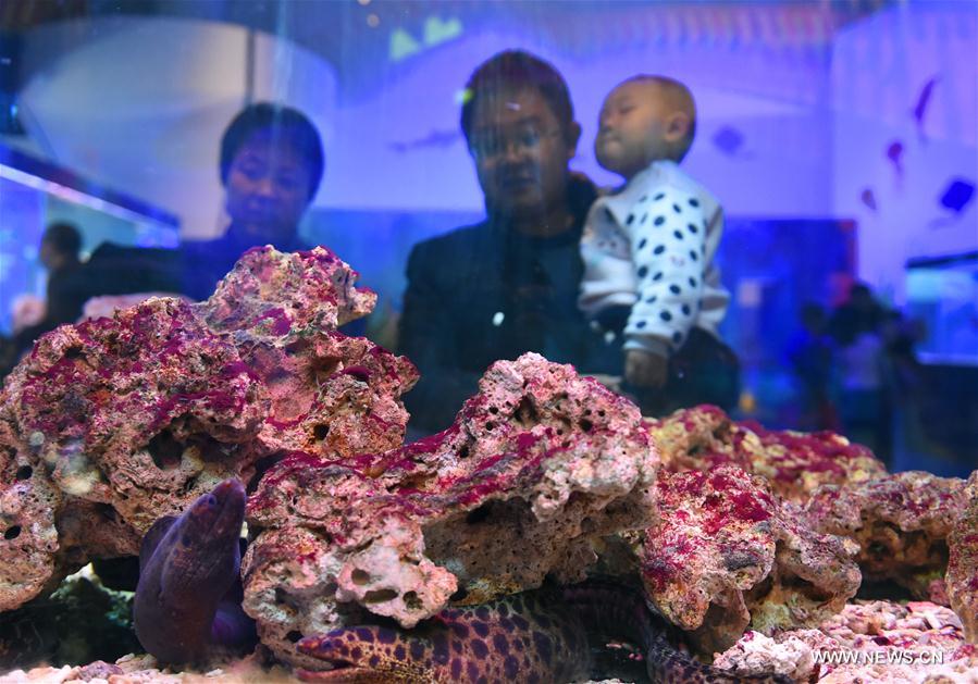 The science museum started to receive visitors on Tuesday, the fifth day of the week-long Lunar New Year holiday. The science museum started to receive visitors on Tuesday, the fifth day of the week-long Lunar New Year holiday.