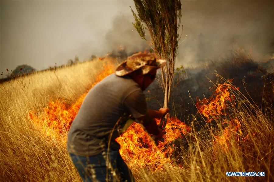 CHILE-CHILLAN-ENVIRONMENT-FIRE