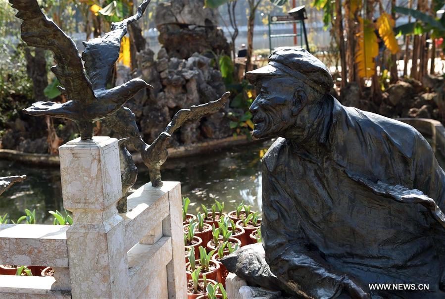 Tens of thousands of black-headed gulls fly to Kunming from northern China every winter in the past 32 years. Tens of thousands of black-headed gulls fly to Kunming from northern China every winter in the past 32 years.