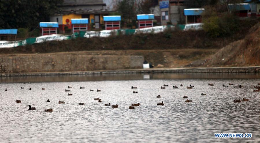 NEPAL-KATHMANDU-WORLD WETLAND DAY