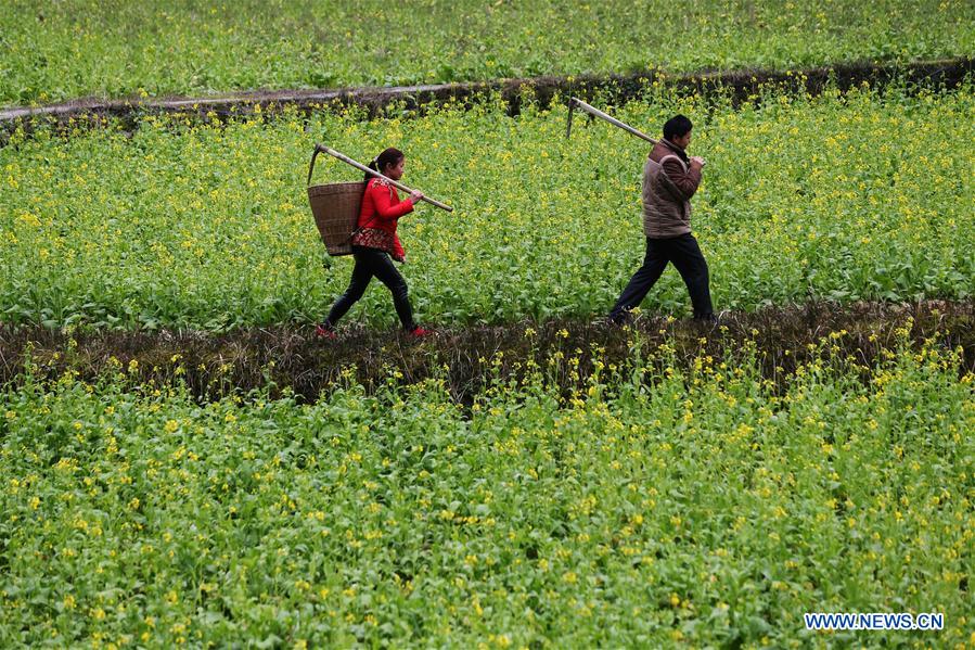 #CHINA-FARM WORK-BEGINNING OF SPRING (CN)
