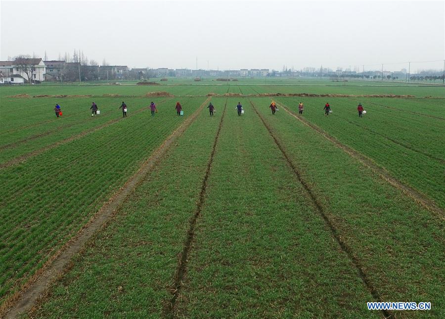 #CHINA-FARM WORK-BEGINNING OF SPRING (CN)