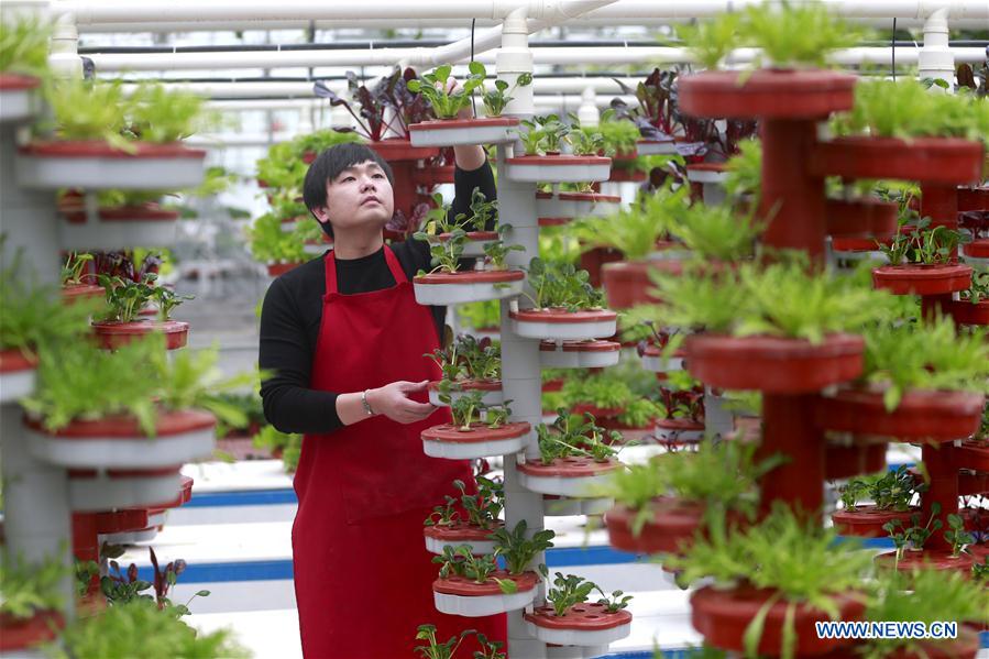 #CHINA-FARM WORK-BEGINNING OF SPRING (CN)