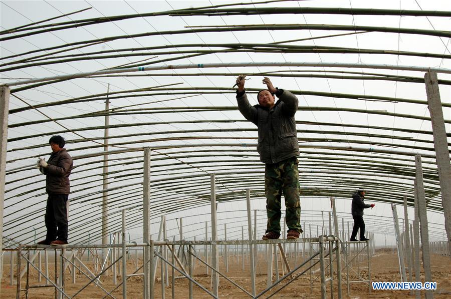 #CHINA-FARM WORK-BEGINNING OF SPRING (CN)