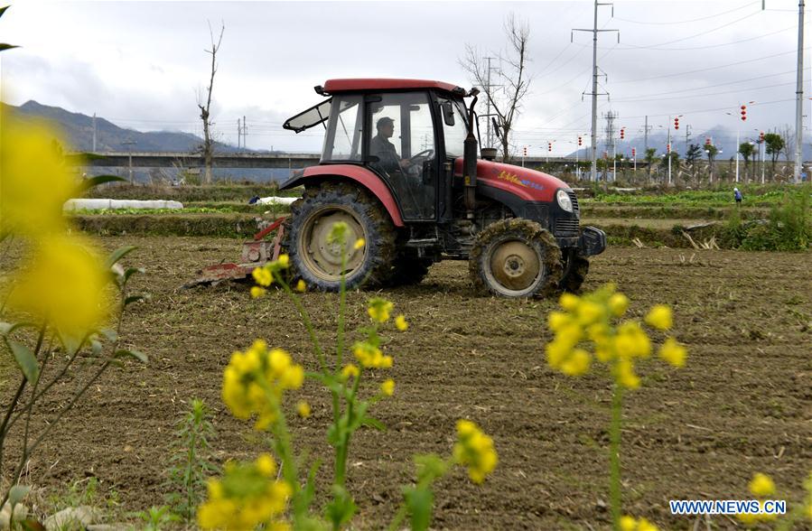 #CHINA-FARM WORK-BEGINNING OF SPRING (CN)